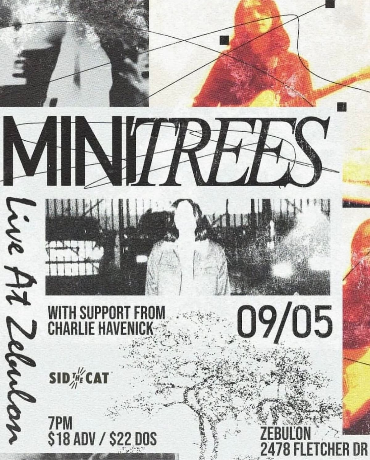 Mini Trees / Charlie Havenick