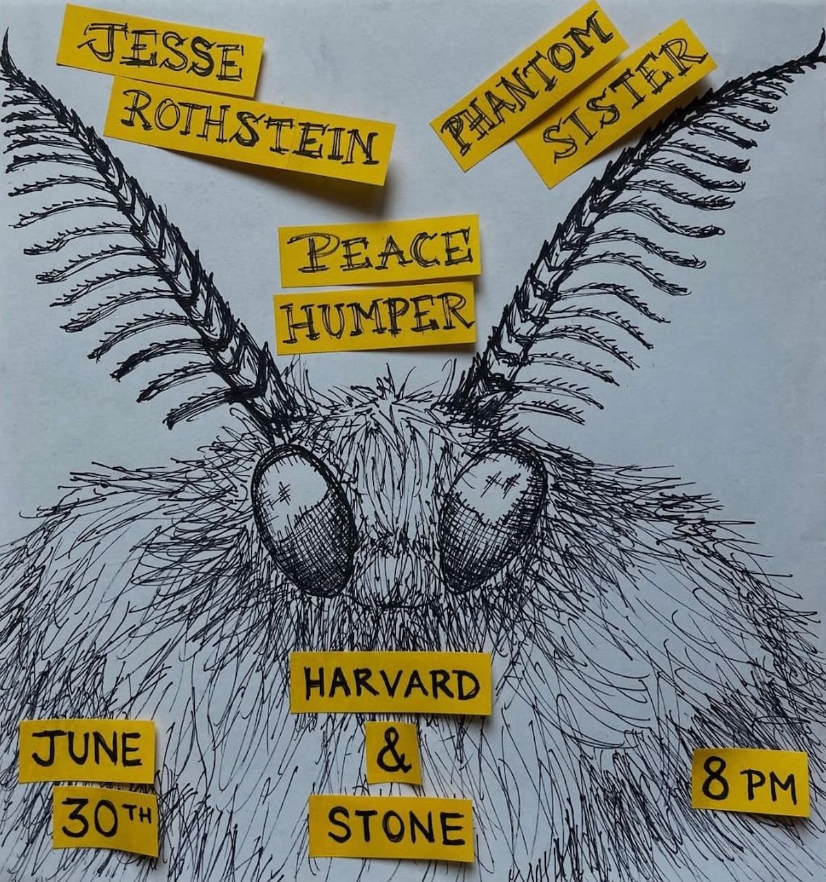 Jesse Rothstein / Phantom Sister / Peace Humper 