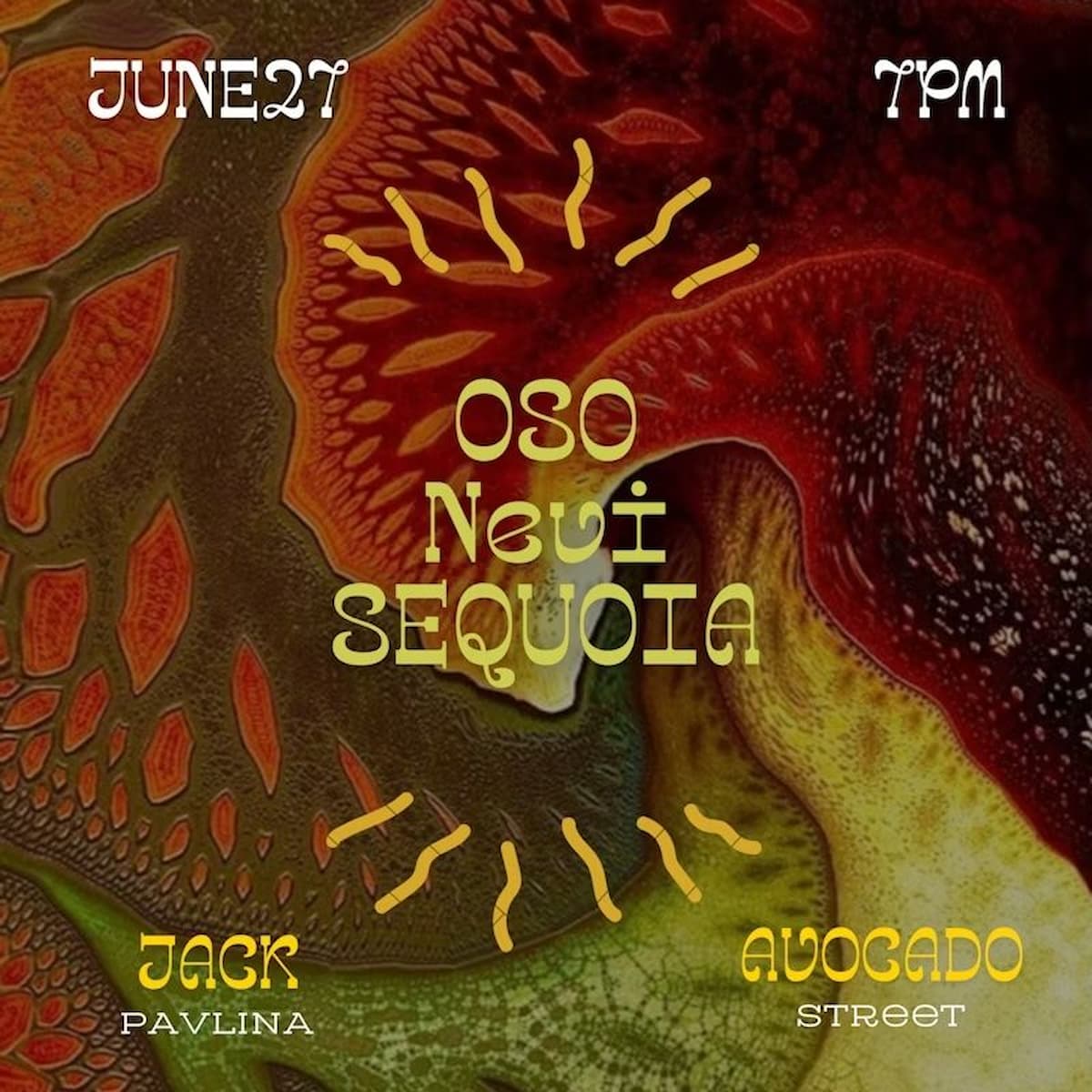 Avocado Street Sessions