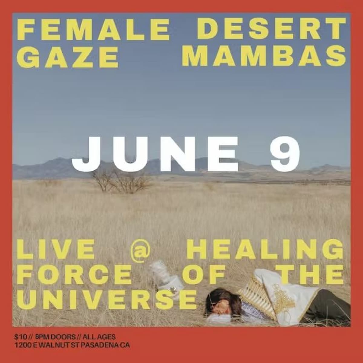 Female Gaze / Desert Mambas