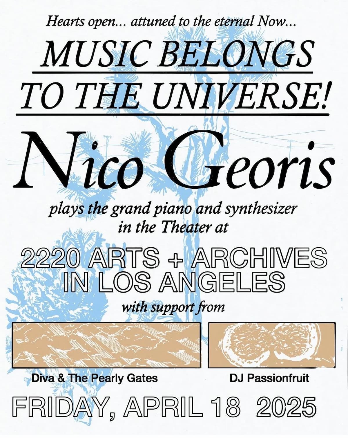 Nico Georis / Diva & The Pearly Gates / DJ Passionfruit