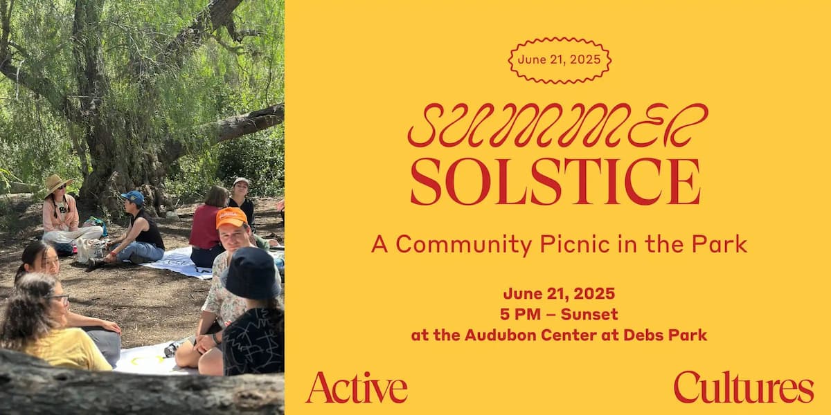 Summer Solstice: A Community Picnic in the Park