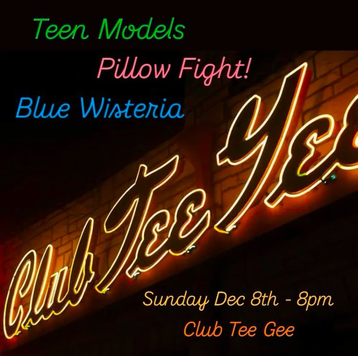 Teen Models / Pillow Fight! / Blue Wisteria