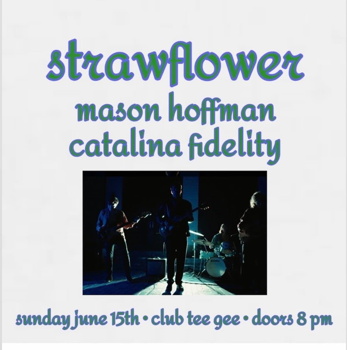 Strawflower / Mason Hoffman / Catalina Fidelity